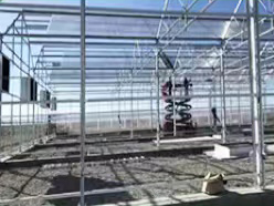 multi-span greenhouses