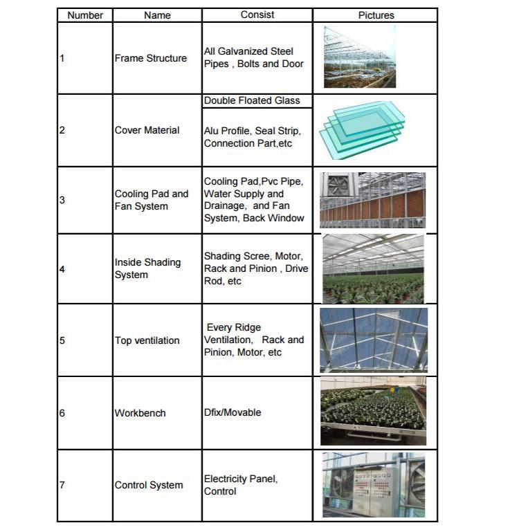 Tomato Greenhouse with Venlo Floated Glass Panels from China Factory