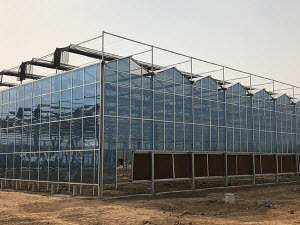 Glass Greenhouses