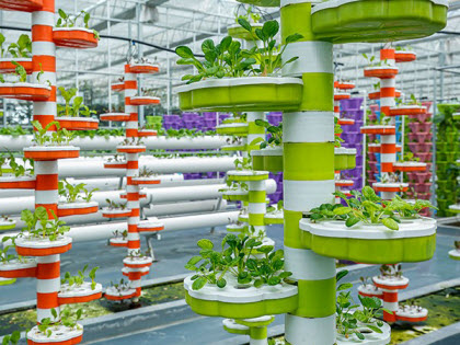 Benefits of a Hydroponic Greenhouse