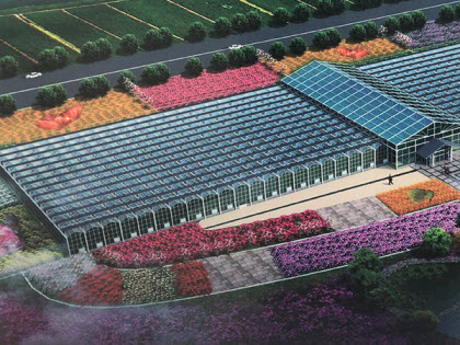 Commercial Greenhouses