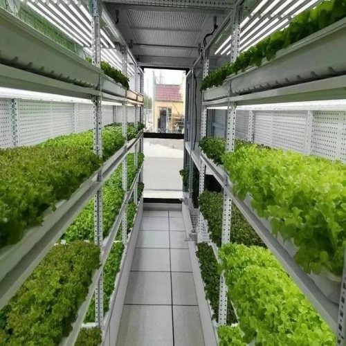 Commercial Greenhouse