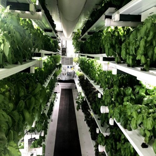 Hydroponic Shipping Containers in China