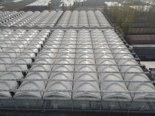 Polycarbonate Sheet Greenhouses