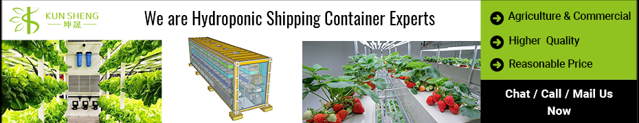 Hydroponic Grow Container