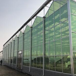 Turkish Commercial Greenhouses