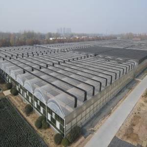 Commercial Greenhouses