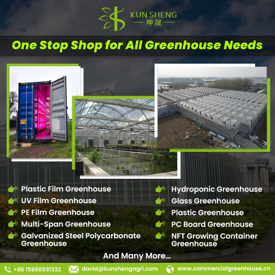 Commercial Greenhouses in Israel