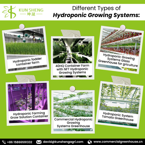 Hydroponic Systems in the Middle East