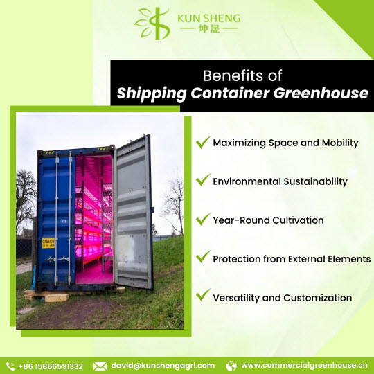 Shipping container greenhouse