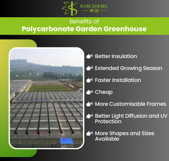 Benefits of Polycarbonate Garden Greenhouse