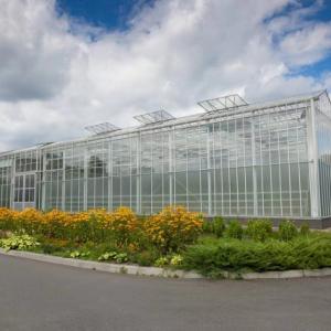Affordable and Accessible Greenhouse Solutions by Kunsheng Agriculture