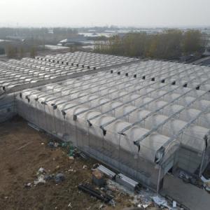 Benefits of a Plastic Film Tunnel Greenhouse