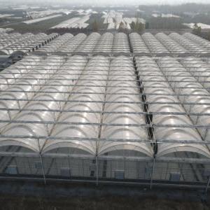 A Beginner's Guide to Building a Polycarbonate Sheet Greenhouse