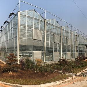 Optimizing Leaf Vegetable Greenhouses: Covering, Light, Temperature, and Humidity Control
