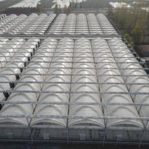 Finding the Perfect Greenhouse Cover: Balancing Transparency, Thickness, and Durability 