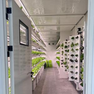 Commercial Greenhouse Crops in the Middle East and Africa Commercial Greenhouse Crops in the Middle East and Africa