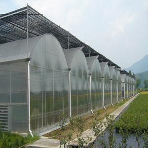 How Commercial Greenhouses Thrive in the Middle East's Harsh Climate? How Commercial Greenhouses Thrive in the Middle East's Harsh Climate?