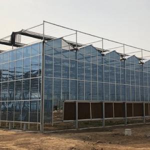 Enhancing Kuwait's Agricultural Industry