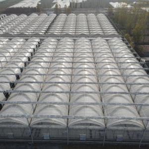 Commercial Greenhouses and Bahrain's Food Sovereignty: Promoting Local Produce Commercial Greenhouses and Bahrain's Food Sovereignty: Promoting Local Produce