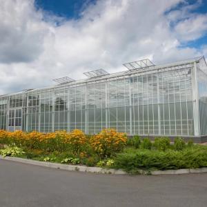Commercial Greenhouses and Agricultural Trade in Iraq - Expanding Export Potential