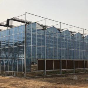 Agricultural Development in Yemen