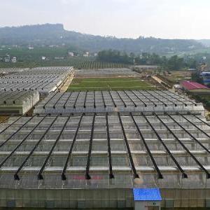 Cost-Efficiency Strategies for Polycarbonate Greenhouse Manufacturers in China Cost-Efficiency Strategies for Polycarbonate Greenhouse Manufacturers in China