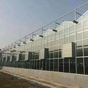 What is an Intelligent Greenhouse? How Does It Differ from Traditional Greenhouses?
