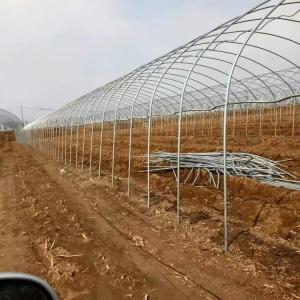 High-Quality & Cost-Effective Option for New Growers: Inserted Ground Arch Greenhouses