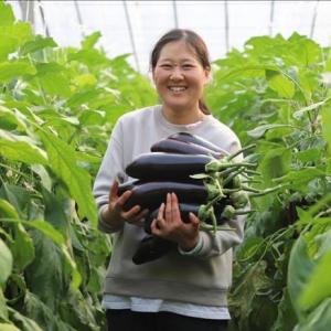 Xinjiang Province: Desert Turns into Rows of Energy-Efficient Greenhouse