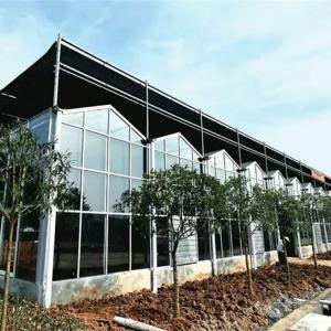 Top 3 Greenhouse Covering Materials: High Light Transmission & Long-Lasting Options