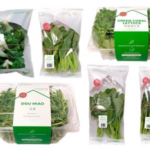 Agricultural Upgrading in Singapore: Smart Farming