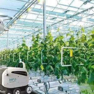 Dutch Positive Pressure Ventilation Glass Greenhouse: Key Advantages & Practical Configurations