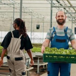 Greenhouses: Nurturing Growth Beyond Seasons