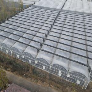 Plastic Film Multi-Span Greenhouse for Agriculture at China Factory Price