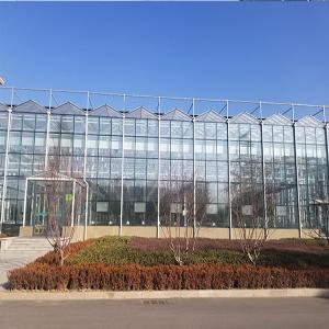 Galvanized Steel Frame Glass Greenhouse for Cucumber and Tomato
