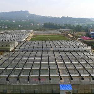 Galvanized Steel Polycarbonate Garden Greenhouse from China Factory