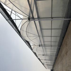 New Technology Greenhouse Covering 200micron Plastic Transparent Film for Agriculture