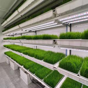  Pasture Container Farming System